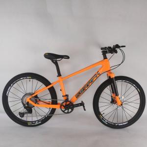 24ER mountain bike carbon bicycle